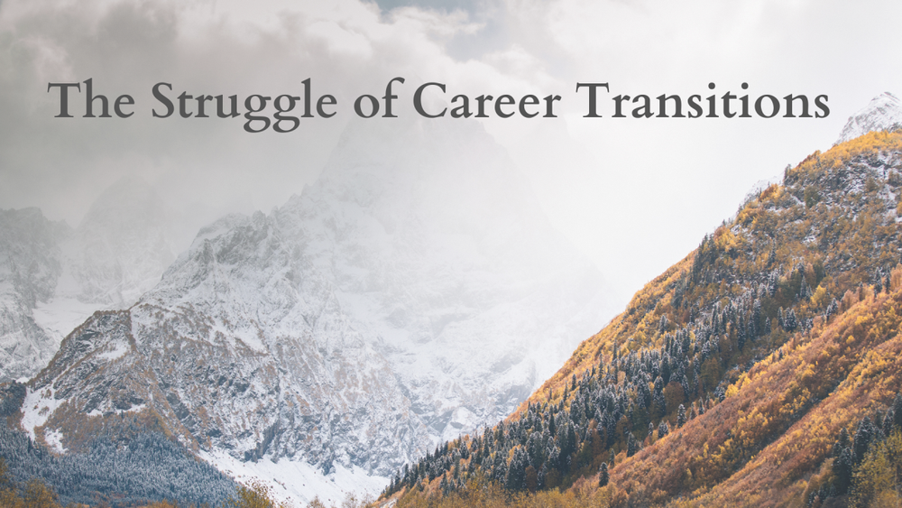 The Struggle of Career Transitions
